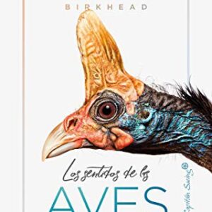 Portada de Tim Birkhead Los sentidos de las aves Editorial Capitan Swing