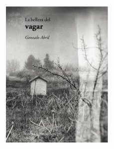 Portada de Gonzalo Abril La belleza del vagar Eolas Ediciones